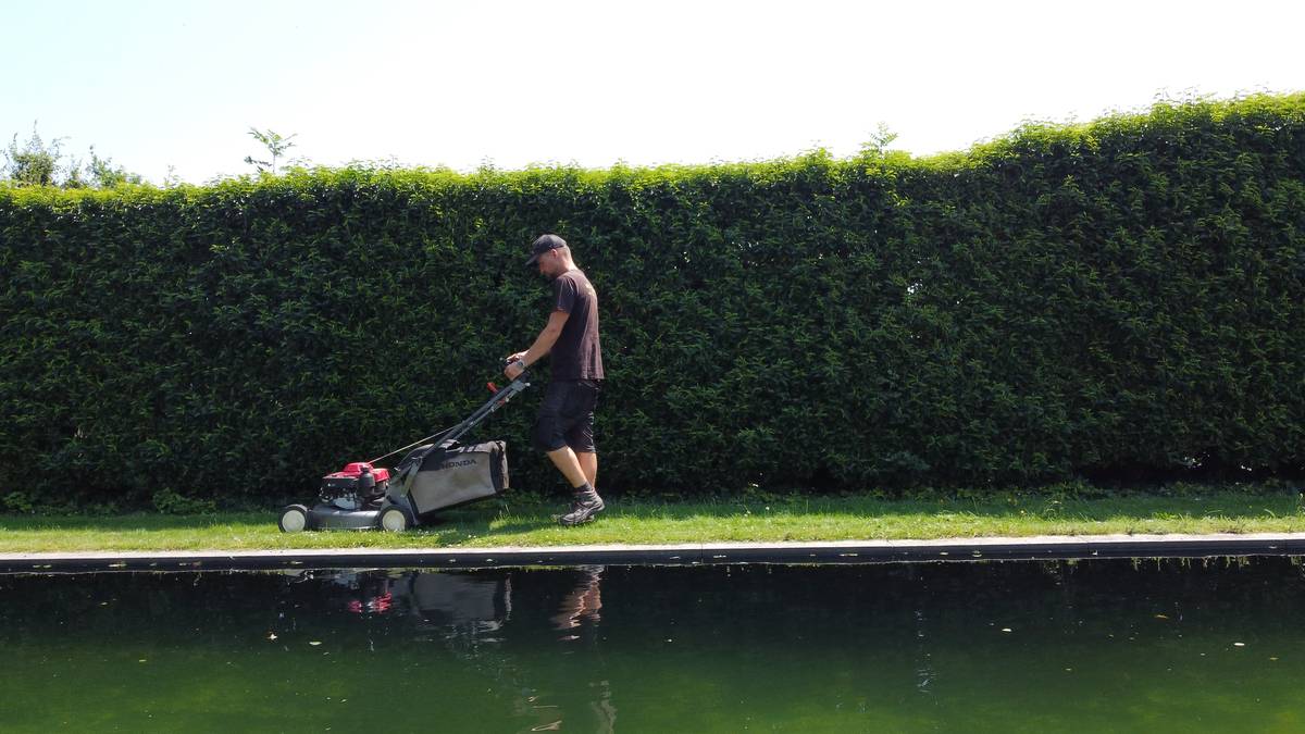 Tuinman van BGR Concept maait het gazon langs een strak geschoren haag aan een vijver in het Pajottenland